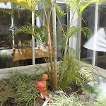 Abf18v3 Moradia Qualidade E Piscina,lindas V Villa Albufeira